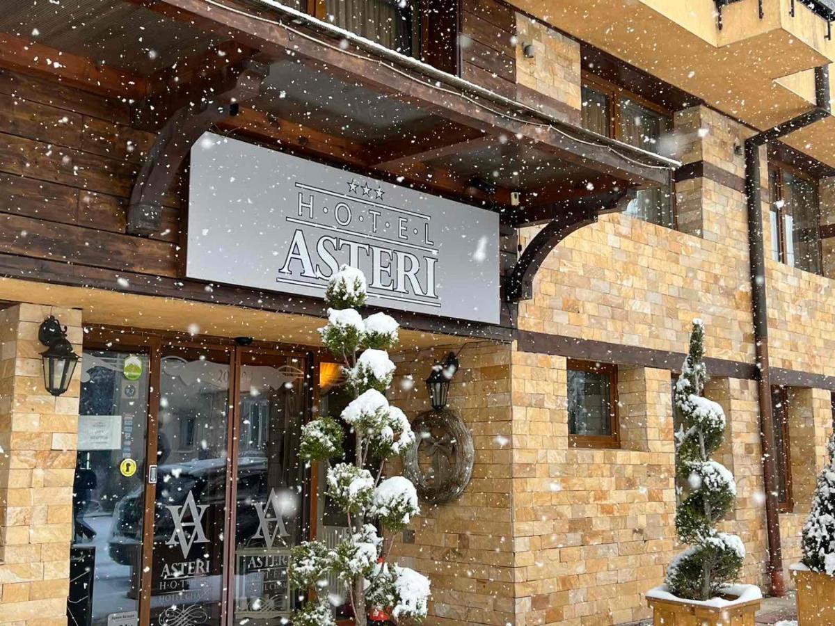 Hotel Asteri Bansko - Organic Food From Small Local Farms By Asteri Hotels Extérieur photo
